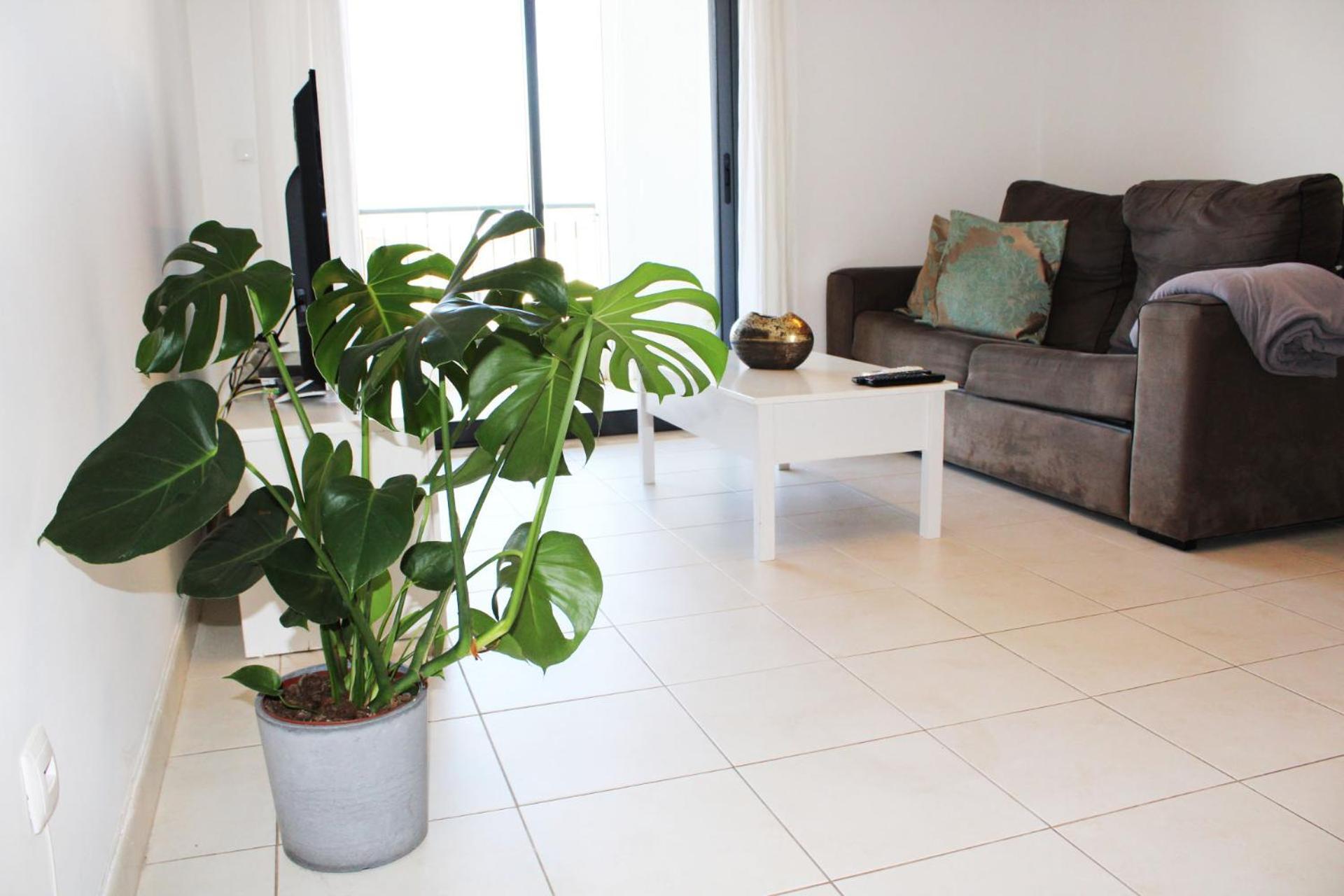 Apartment With Terrace Albufeira Olhos De Agua Luaran gambar